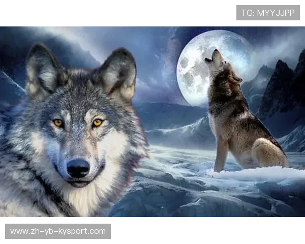 _森林狼战斗精神十足，稳扎稳打_，森林狼kg