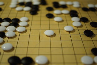 开云官方-世界围棋赛青年选手战术成熟引热议，2020世界围棋